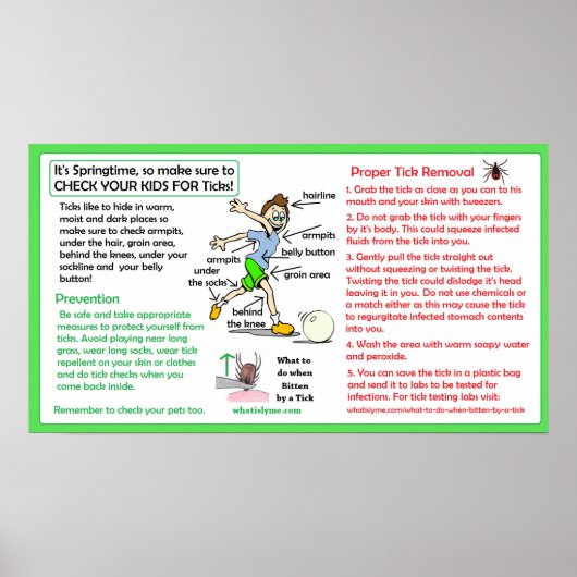 Preventie van de ziekte van Lyme bij het verwijder Poster (Voorkant)