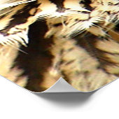 Prey in Sight Poster (Hoek)