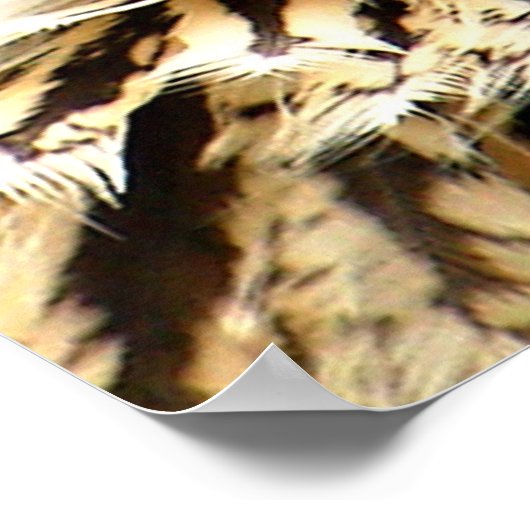 Prey in Sight Poster (Hoek)