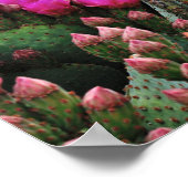 Prickle Pear Cactus in Bloom Santa Fe NM Poster (Hoek)