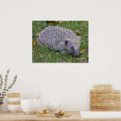 Prickles afdrukken poster (Keuken)