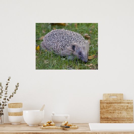 Prickles afdrukken poster (Keuken)