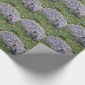 Prickles- Europese Egel Inpakpapier (Hoek)
