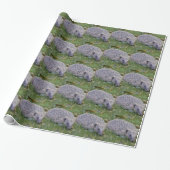 Prickles- Europese Egel Inpakpapier (Uitgerold)