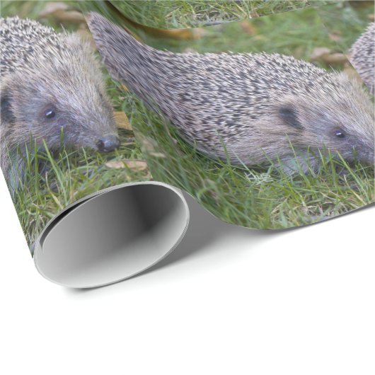 Prickles- Europese Egel Inpakpapier (Rol Hoek)