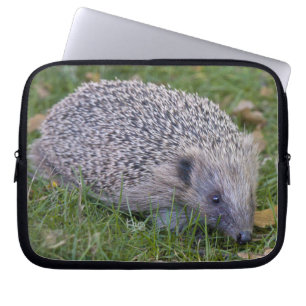 Prickles Laptop Hoes