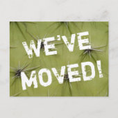 Prickley cactus bewegende briefkaarten (Voorkant)