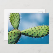 Prickley Cactus Briefkaart (Voorkant / Achterkant)