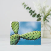 Prickley Cactus Briefkaart (Staand voorkant)