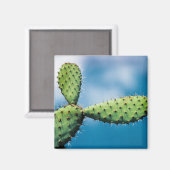 Prickley Cactus Magneet (Voorkant / Achterkant)