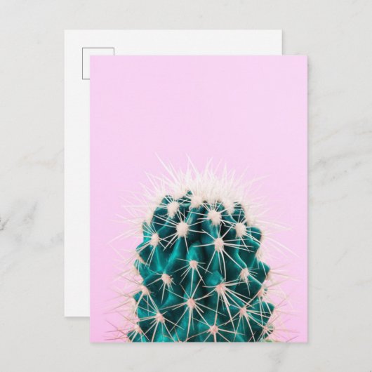 Prickley Cactus op roze Briefkaart (Voorkant / Achterkant)