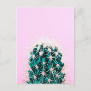 Prickley Cactus op roze Briefkaart