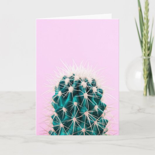 Prickley Cactus op roze Kaart (Voorkant)