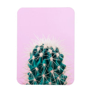 Prickley Cactus op roze Magneet