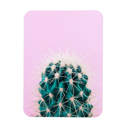 Prickley Cactus op roze Magneet (Verticaal)
