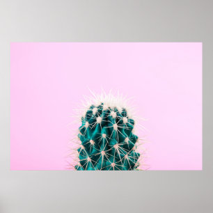 Prickley Cactus op roze Poster