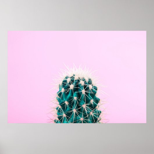 Prickley Cactus op roze Poster (Voorkant)