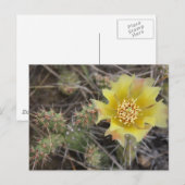 Prickley Pear Briefkaart (Voorkant / Achterkant)
