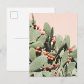Prickley Pear Cactus Briefkaart (Voorkant / Achterkant)