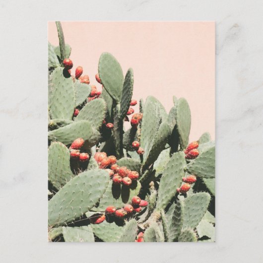 Prickley Pear Cactus Briefkaart (Voorkant)