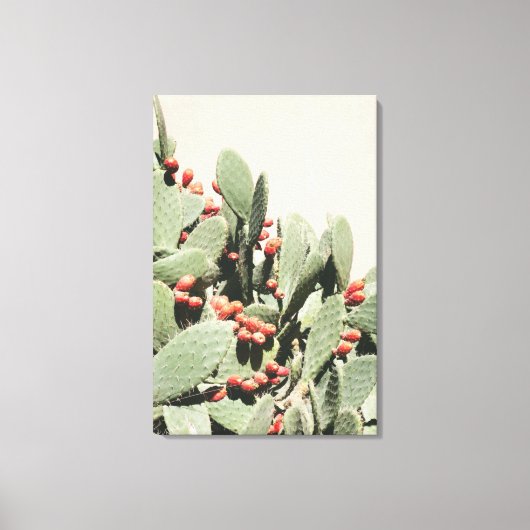 Prickley Pear Cactus Canvas Afdruk (Voorkant)