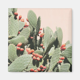 Prickley Pear Cactus Magneet
