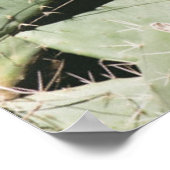Prickley Pear Cactus Poster (Hoek)