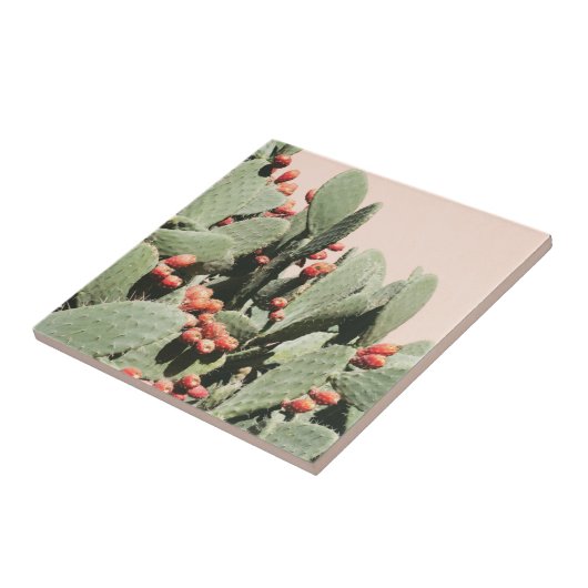 Prickley Pear Cactus Tegeltje (Zijkant)