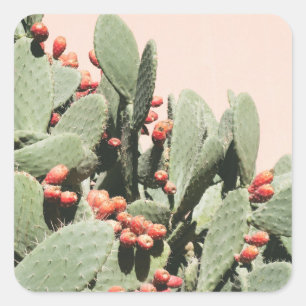 Prickley Pear Cactus Vierkante Sticker