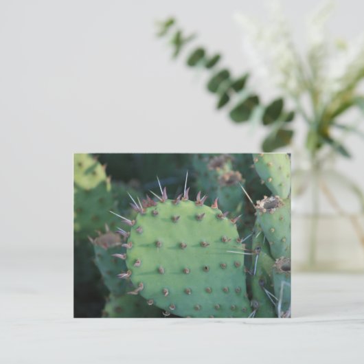 Prickley Pear Pad Briefkaart (Staand voorkant)