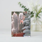 Prickly Cactus Briefkaart (Staand voorkant)