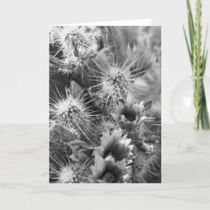 Prickly Cactus Desert Flowers Foto Wenskaart Kaart