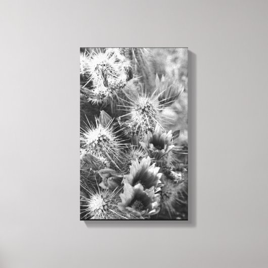 Prickly Cactus Flowers Desert B&W Foto Prints (Voorkant)