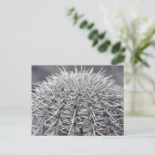 Prickly Cactus Sonoran Desert B&W Foto Briefkaart (Staand voorkant)