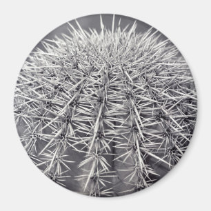 Prickly Cactus Sonoran Desert Refkoelkast Magnet