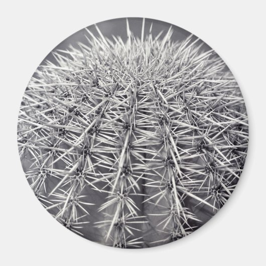 Prickly Cactus Sonoran Desert Refkoelkast Magnet (Voorkant)
