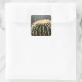 Prickly Cactus Sticker (Tas)