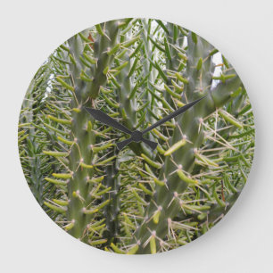 Prickly Green Cactus Plant Grote Klok