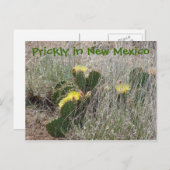 Prickly in New Mexico Briefkaart (Voorkant / Achterkant)