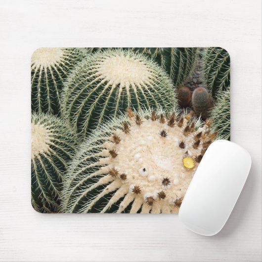 Prickly Pad Muismat (Met muis)