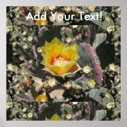 Prickly Pear Black gecentreerd Poster (Voorkant)