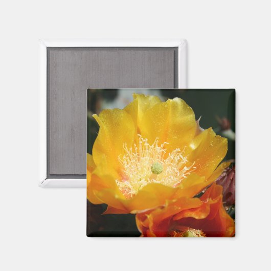 Prickly Pear Blossom Magneet (Voorkant / Achterkant)