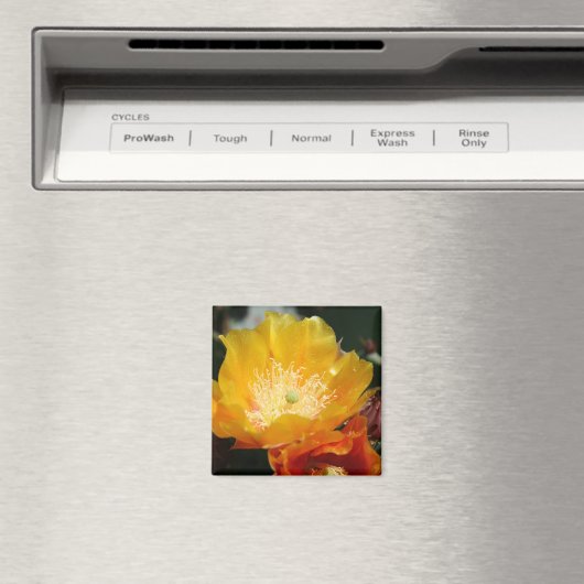 Prickly Pear Blossom Magneet (Insitu (Vaatwasser))