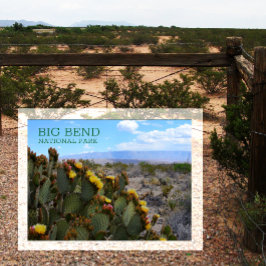 Prickly Pear, Blossom, Sierra del Carmen, Big Bend Briefkaart