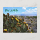Prickly Pear, Blossom, Sierra del Carmen, Big Bend Briefkaart (Voorkant)