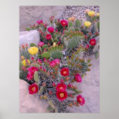 Prickly Pear Cacti Poster (Voorkant)