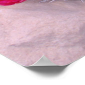 Prickly Pear Cacti Poster (Hoek)