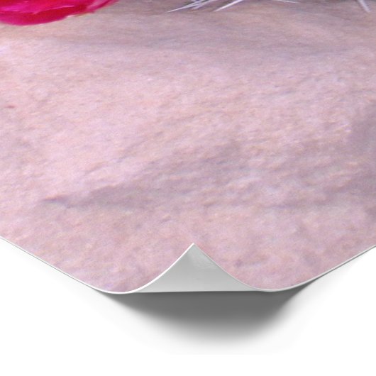 Prickly Pear Cacti Poster (Hoek)