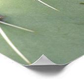 Prickly Pear Cactus and flower Poster (Hoek)