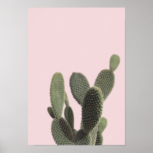 Prickly Pear Cactus and Pink Poster